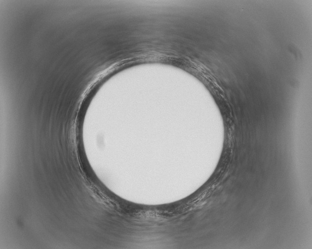 X0000114170244200911191252