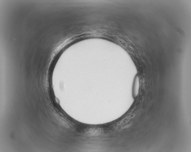 X0000114170248200911191252