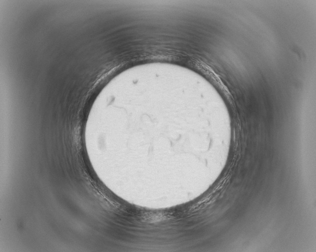 X0000114170249200911191252