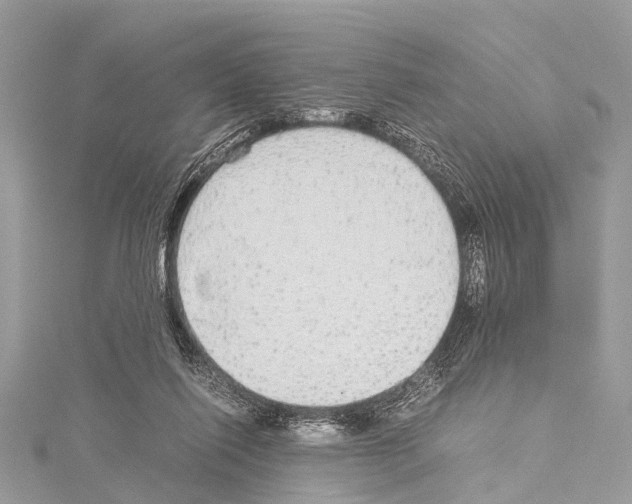 X0000114170262200911191252