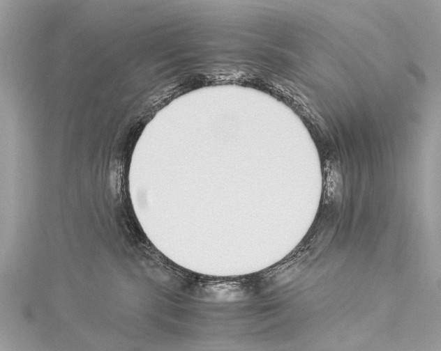 X0000114170283200911191253