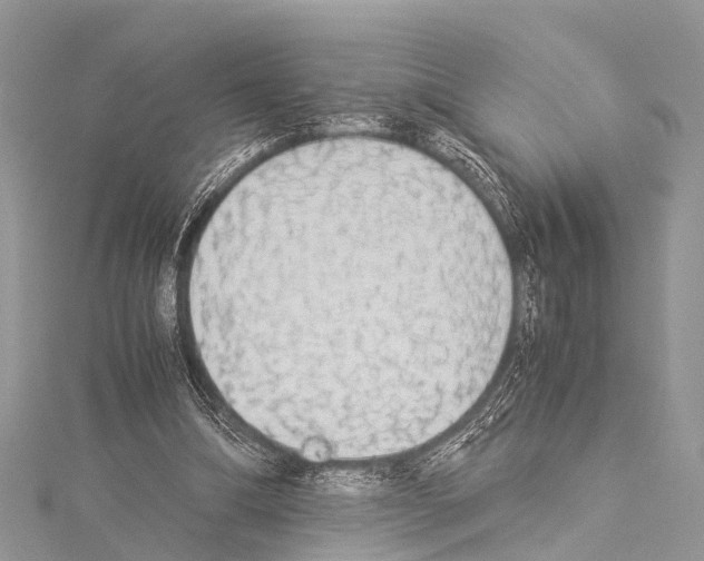 X0000114170298200911191252