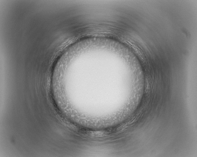 X0000114170309200911191252