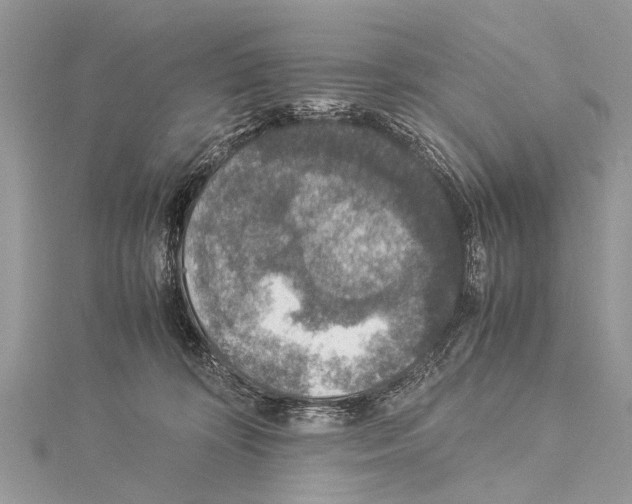 X0000114170324200911191252