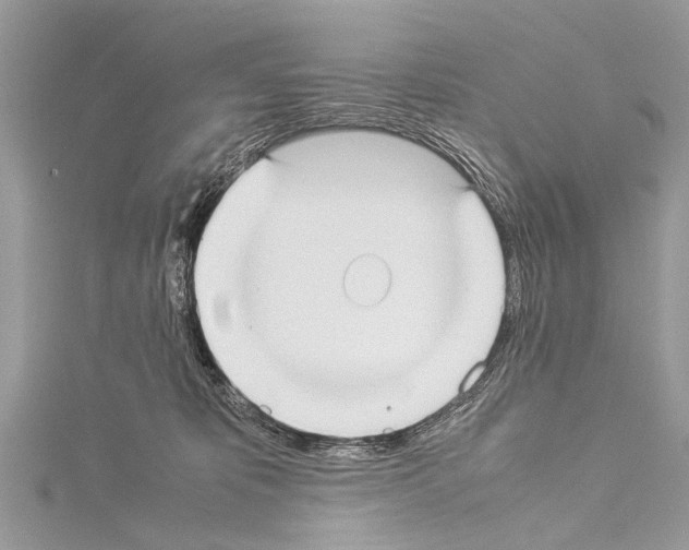X0000114170325200911191252