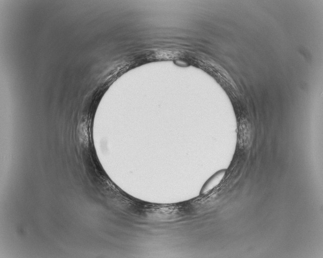 X0000114170329200911191252
