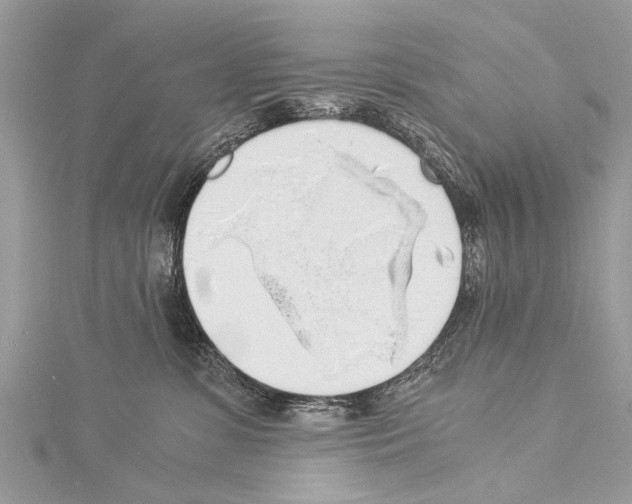 X0000114170331200911191252