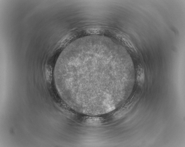 X0000114170332200911191252