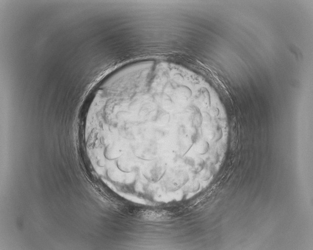 X0000114170346200911191251