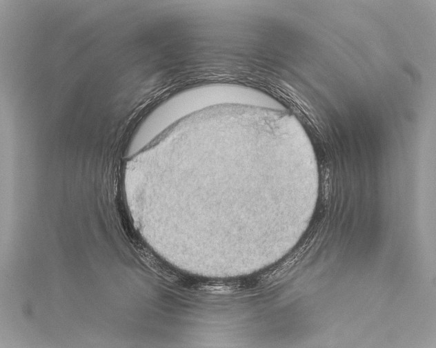 X0000114170370200911191251