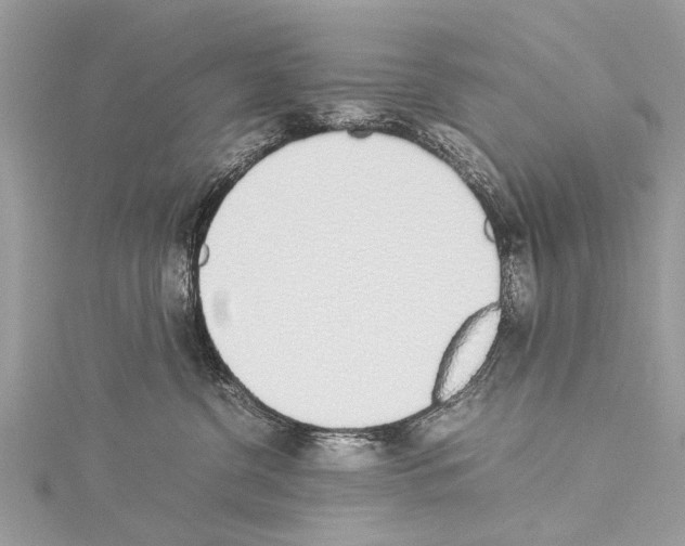 X0000114170380200911191251