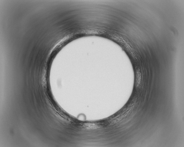 X0000114170392200911191251
