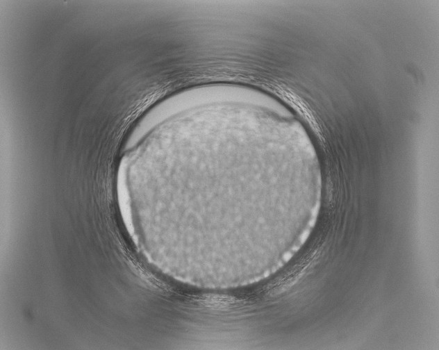 X0000114170393200911191251