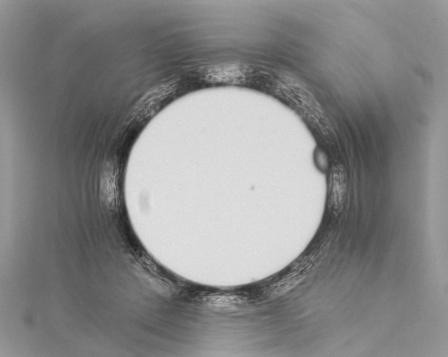 X0000114170408200911191251
