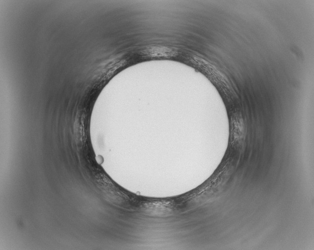 X0000114170422200911191250