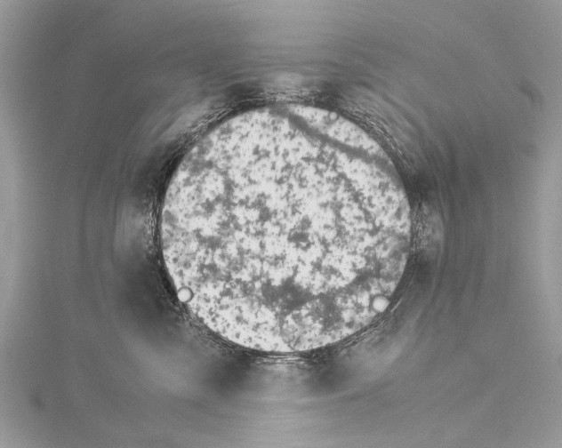 X0000114170427200911191250