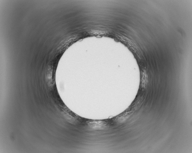 X0000114170428200911191250