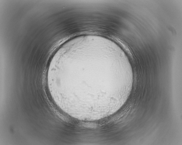 X0000114170437200911191250