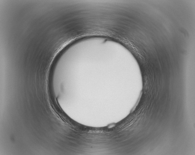 X0000114170440200911191250