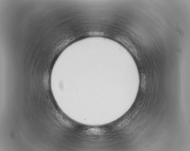 X0000114170441200911191250
