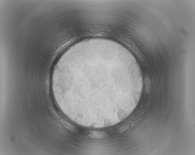 X0000114170442200911191250