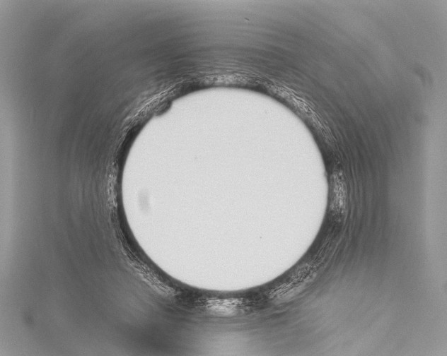 X0000114170450200911191250