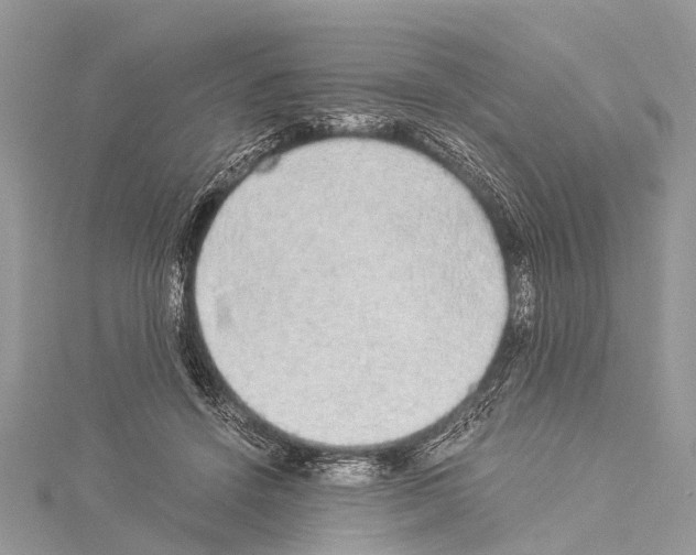 X0000114170456200911191250