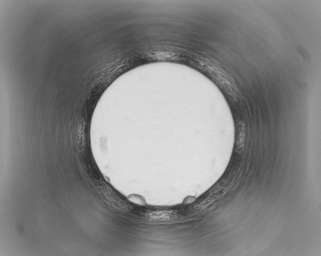 X0000114170461200911191250