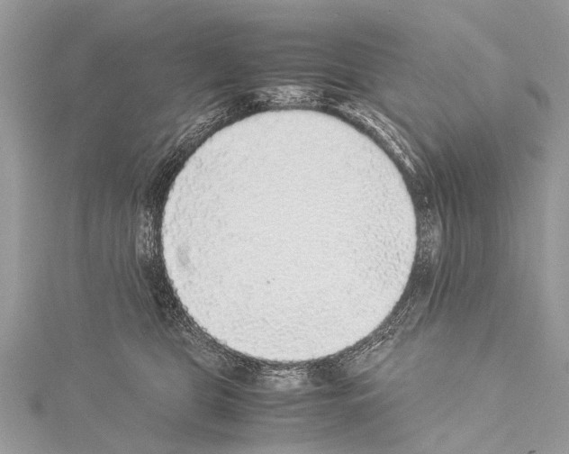 X0000114170469200911191250