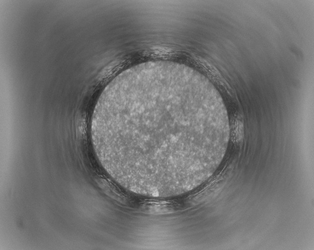 X0000114170472200911191250