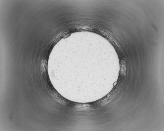 X0000114170476200911191250