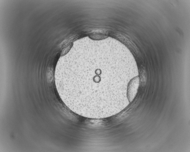 X0000114170478200911191250