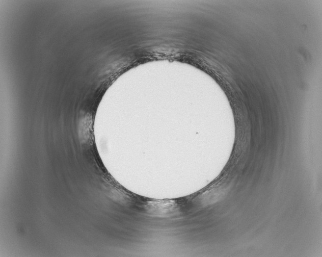 X0000114170480200911191250