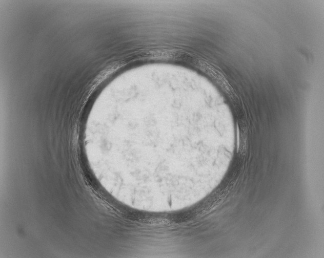 X0000114170483200911191250