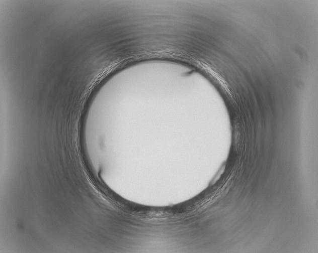X0000114170493200911191250
