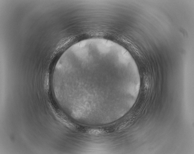 X0000114170494200911191250