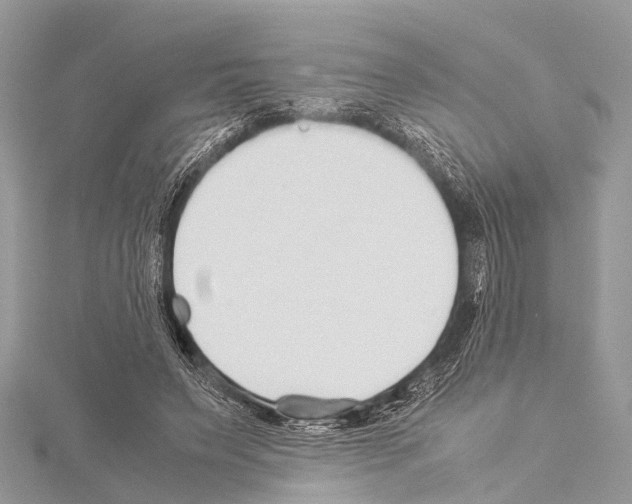 X0000114170495200911191250