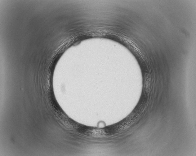 X0000114170501200911191249