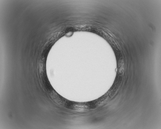 X0000114170515200911191249