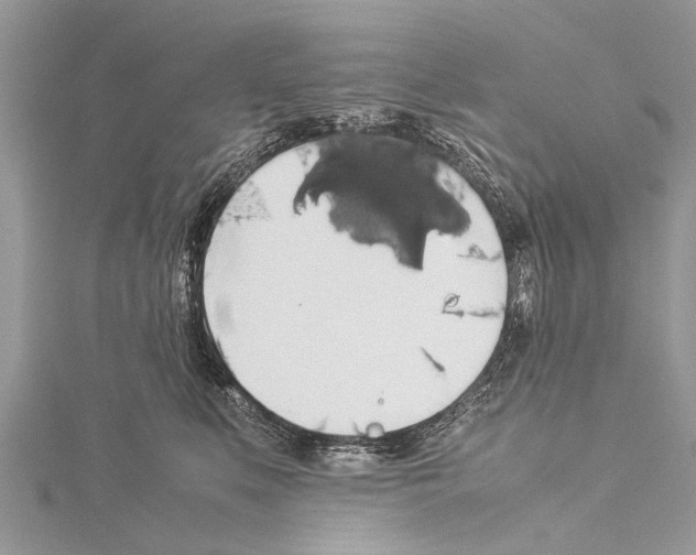 X0000114170519200911191249