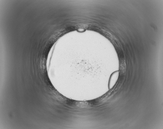 X0000114170525200911191249