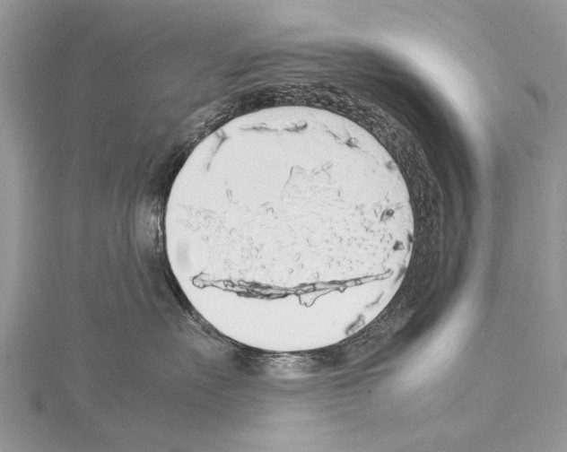X0000114170527200911191249