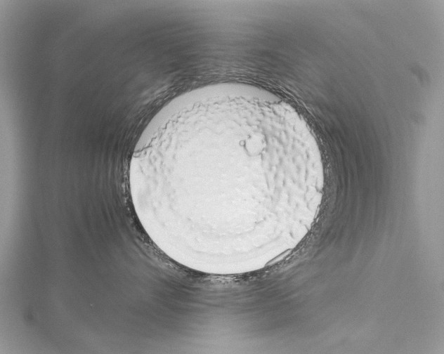 X0000114170528200911191249