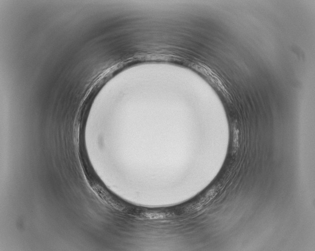 X0000114170534200911191249