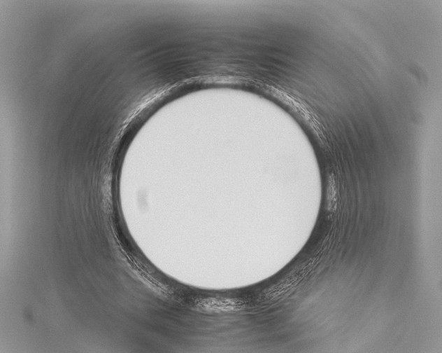 X0000114170535200911191249