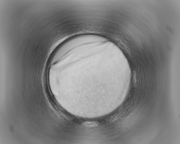X0000114170536200911191249