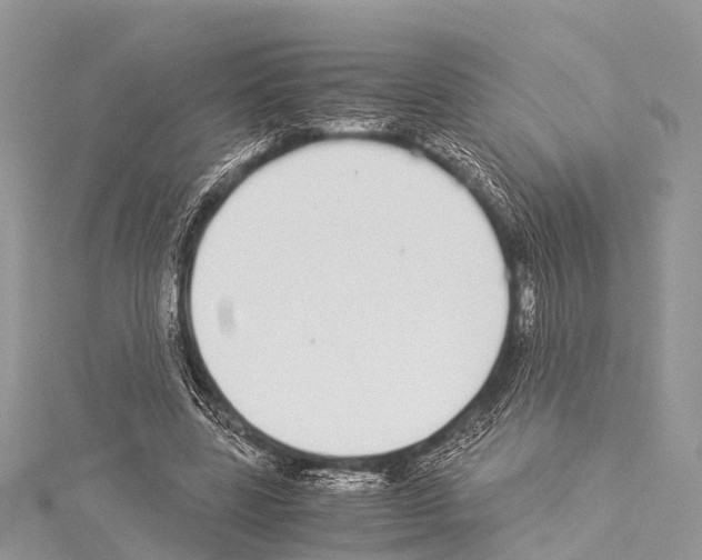 X0000114170539200911191249