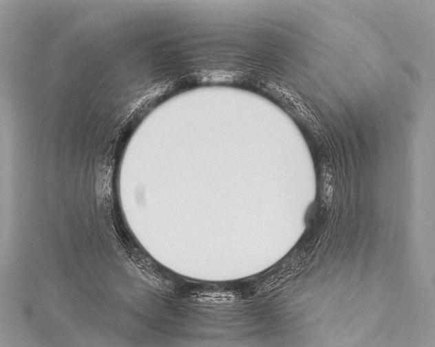 X0000114170543200911191249