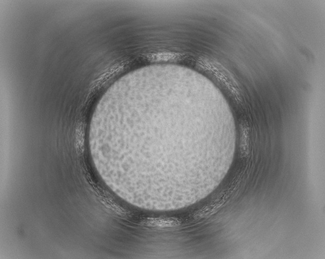 X0000114170545200911191249