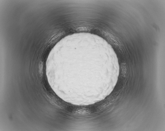 X0000114170550200911191249
